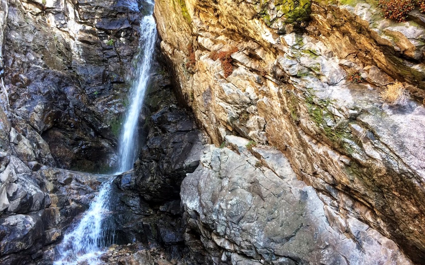 Rocky Mouth Waterfall trail scenery